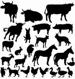 farm animal silhouettes set