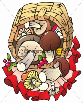 Autumn harvest: mushrooms in the basket