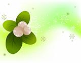 Christmas snowberry background