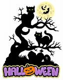 Halloween sign with cats