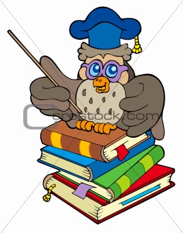 Owl teacher sitting on four books