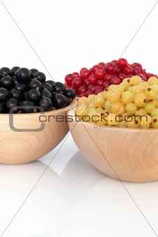 Red, Black and White Currants