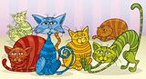 color cats group