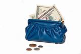 purse with money