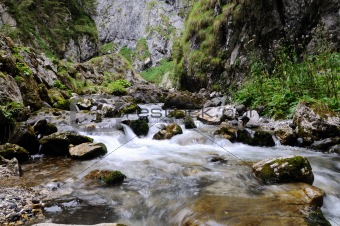 Alpine stream