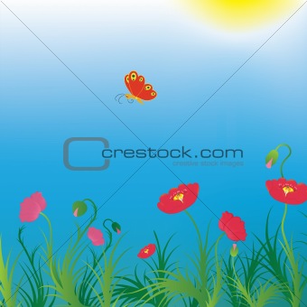 Background with poppies