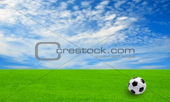 Soccer ball on the field of green grass and blue sky