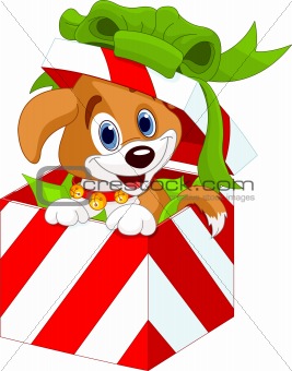 Puppy in a Christmas  gift box