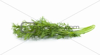A branch of dill