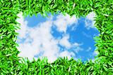 green grass frame on beautiful sky background