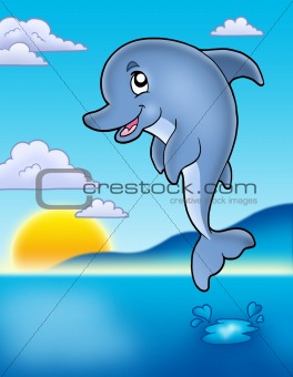 Cute jumping dolphin with sunset