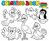 Coloring book with cute birds 1