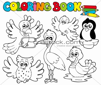Coloring book with cute birds 1