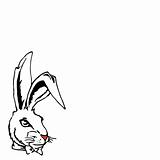 Rabbit.Vector illustration