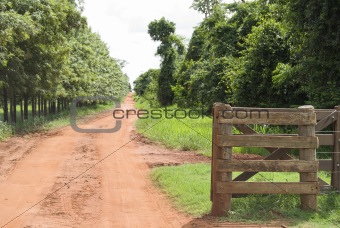 Rural Gate