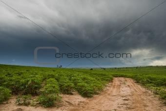 Rain and Agriculture