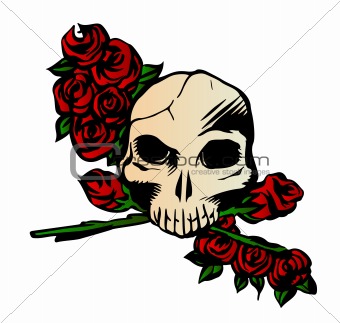 Skull with Rose. Vector