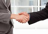 Close up of two businesspeople shaking their hands