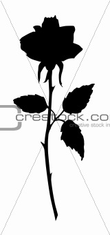 Beautiful rose black silhouette