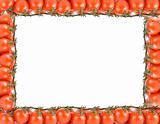 tomatoes frame