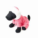 Dogs clothing