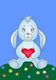 Rabbit with heart on a meadow