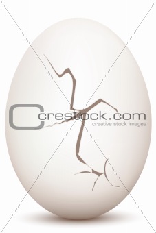 cracked egg