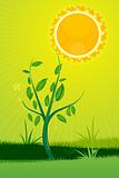 nature card with sun