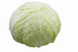 cabbage(clipping path included)