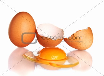  egg on a white background