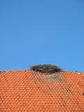 nest on roof