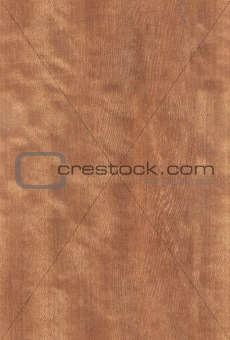 nut wood texture