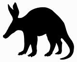 Detailed and isolated illustration of the mammal aardvark