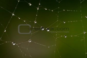 Drops on the web 