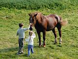 Kids and horses