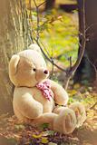 A light brown teddy bear