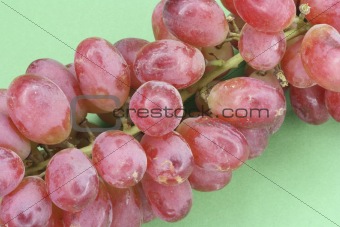 Californian Seedless Grapes