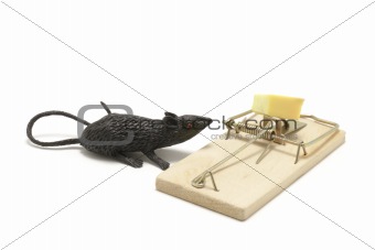 Toy mouse and trap
