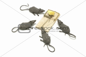 Toy Mice and Trap