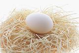  Chicken Egg on Straw Nest