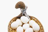 White Eggs on Basket
