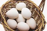 White Eggs in Basket