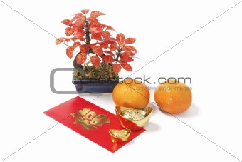 Chinese New Year Lucky Symbols