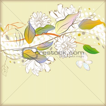 Background with decorative border