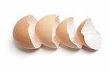 Egg Shells