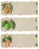 Fruit Banners APP