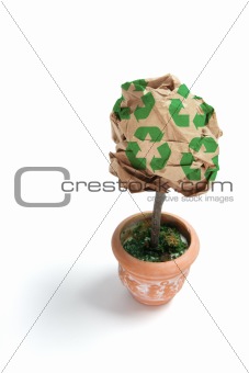 Pot Plant and Brown Paper Ball