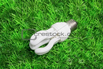 Compact Fluorescent Lightbulb 
