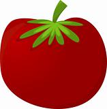Red Tomato . Vector Illustration