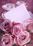 Pink roses with a greeting card